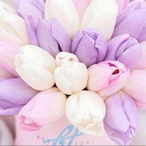 Meet your Posher, Olga